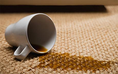 Carpet Cleaning Vienna,  VA